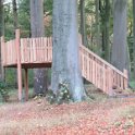 Geografisches Arboretum Rombergpark am 17,102018 (50)